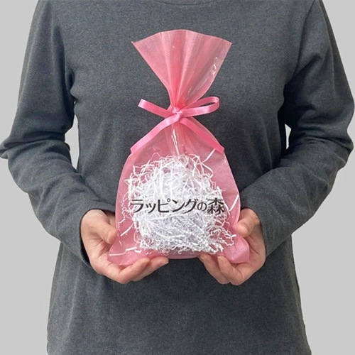 前面クリアの名入れ袋