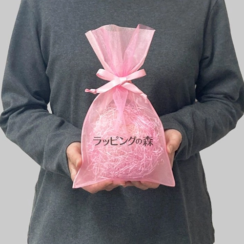 オーガンジー素材の名入れ袋