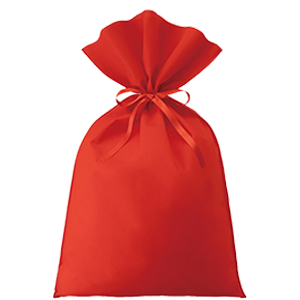 ソフトバッグベーシック　2穴リボン巾着