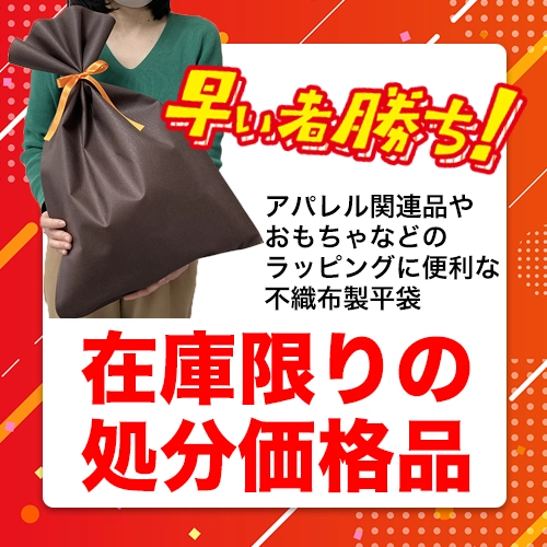 在庫限りの大きなラッピング袋（WB_LS117）