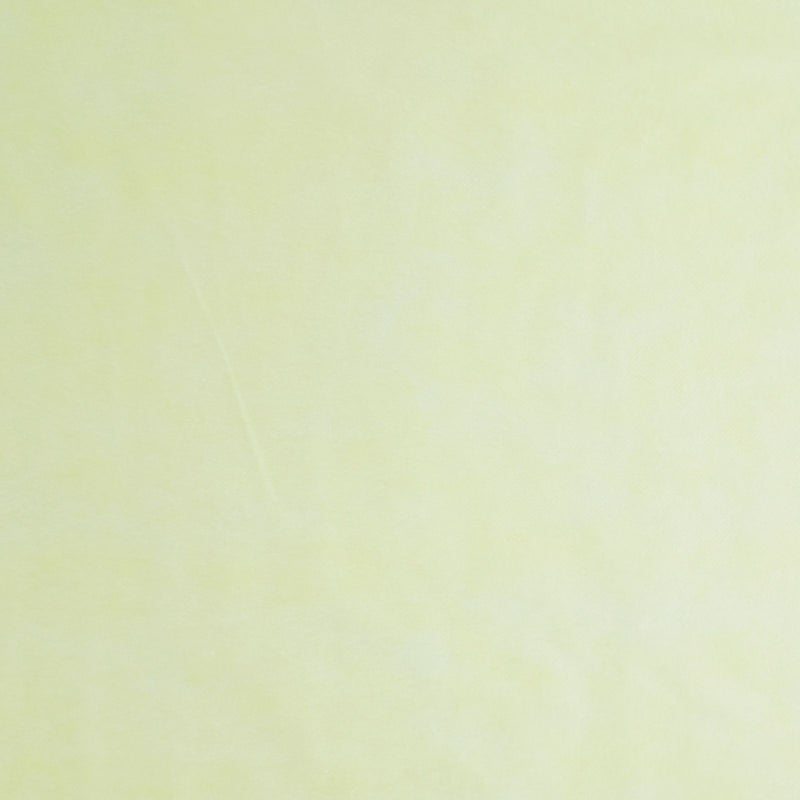 アパレル｜不織布製平袋　薄タイプ（12g）　大　100枚入