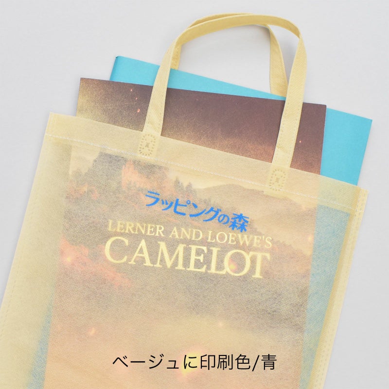 不織布バッグ｜【1200枚以上専用】アドバッグ 薄タイプ（40g） 持ち手付き　A4 名入れ有　100枚入