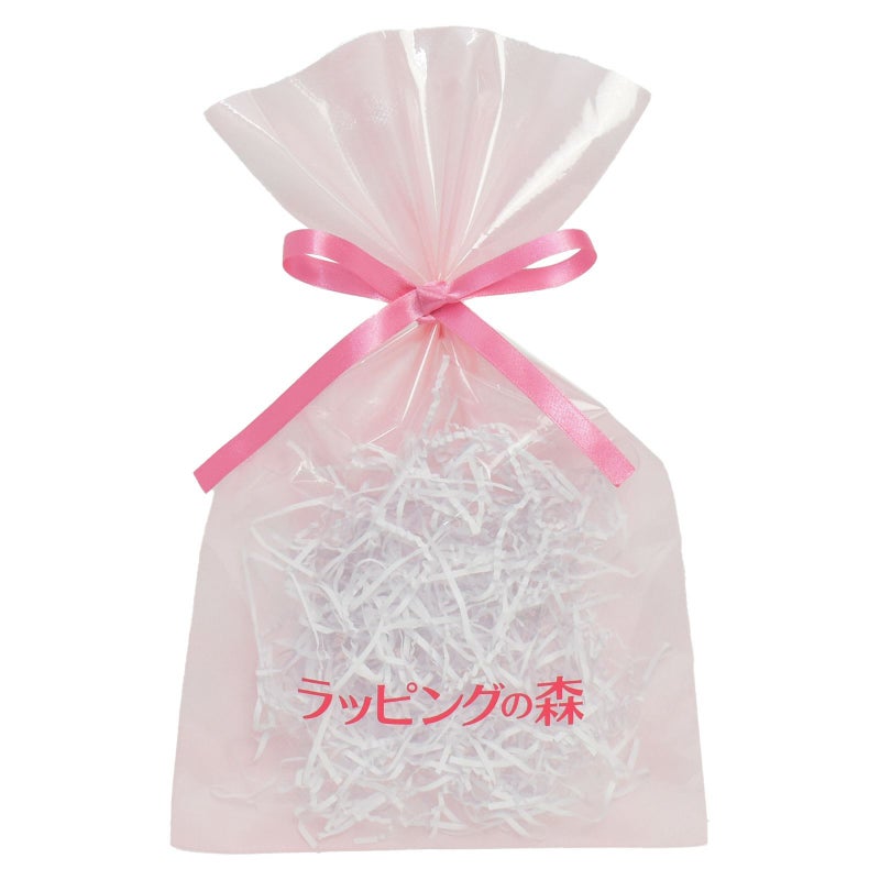 ラッピング｜ソフトバッグクリアS4 2穴リボン巾着 名入れ有　100枚入