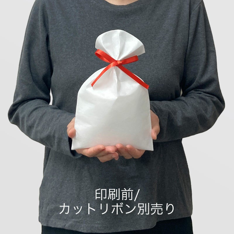 【フルカラー名入れ／高温転写】ソフトバッグFP　S3　100枚入｜ラッピング資材の仕入れならラッピングの森