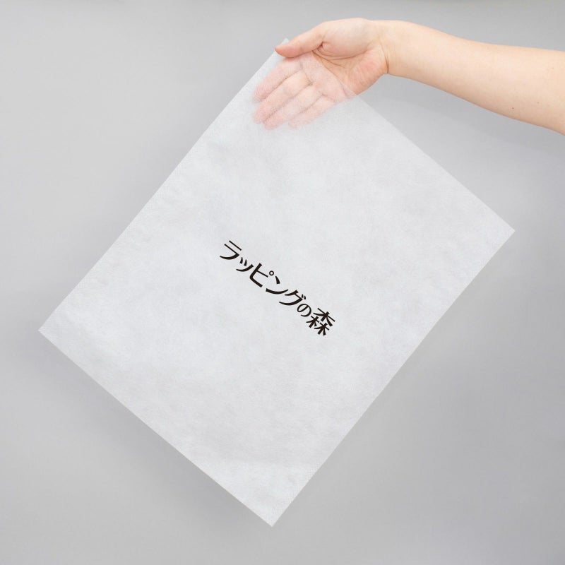 アパレル資材｜不織布製平袋　普通タイプ（20g）　小　名入れ有　100枚入