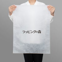 アパレル資材｜不織布製平袋　普通タイプ（20g）　大　名入れ有　100枚入