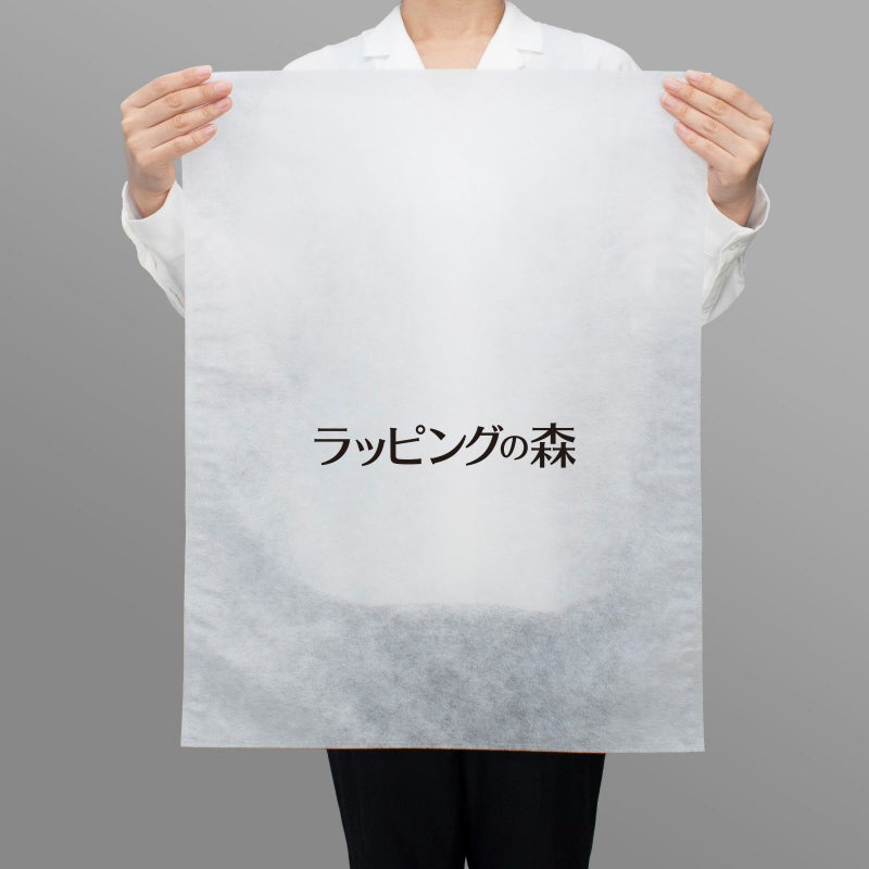 アパレル資材｜不織布製平袋　普通タイプ（20g）　大　名入れ有　100枚入