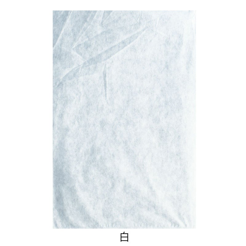 アパレル資材｜不織布製平袋　普通タイプ（20g）　特大　名入れ有　100枚入