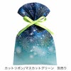 ソフトバッグFP S3　夏休み柄　100枚入｜ラッピング資材の仕入れならラッピングの森