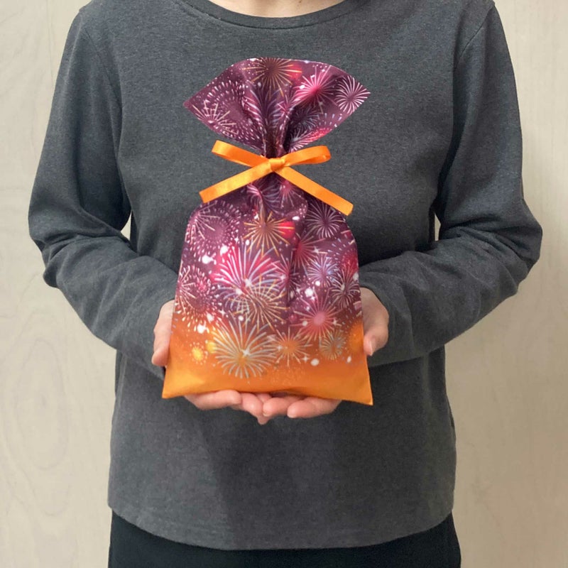 ソフトバッグFP S4　夏休み柄　100枚入｜ラッピング資材の仕入れならラッピングの森