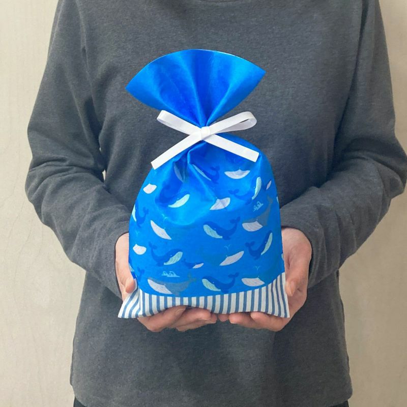 ソフトバッグFP S4　夏休み柄　100枚入｜ラッピング資材の仕入れならラッピングの森