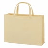 不織布バッグ｜【リピーター専用】ベーシックトート　普通タイプ(75g）　A4横 名入れ有　100枚入
