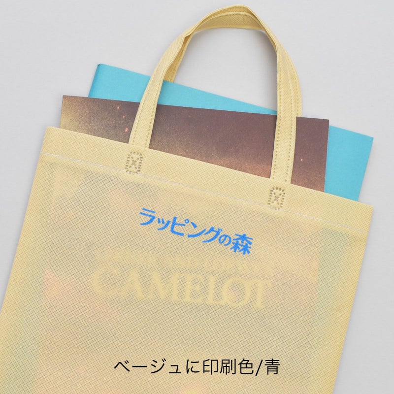 不織布バッグ｜【リピーター専用】ベーシックトート　厚タイプ　大 名入れ有 100枚入
