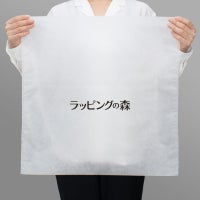 名入れ対応／1000枚以上専用】不織布製平袋厚タイプ サイズ60｜不織布 
