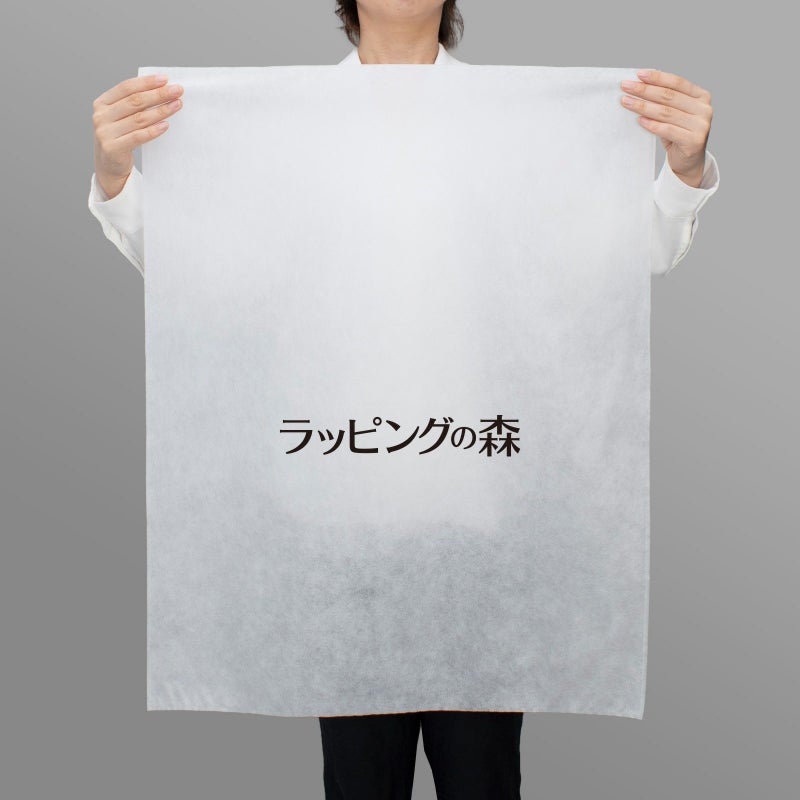 アパレル資材｜【1000枚以上専用】不織布製平袋　厚タイプ（23g）　中　ロングタイプ　名入れ有　100枚入