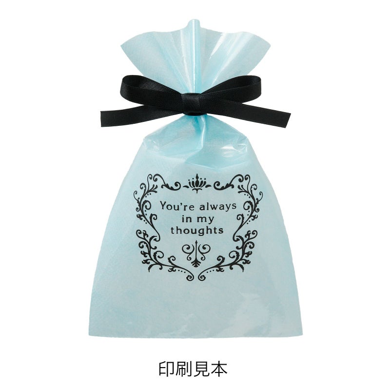 ラッピング｜【リピーター専用】ソフトバッグクリアS2 2穴リボン巾着　名入れ有　100枚入