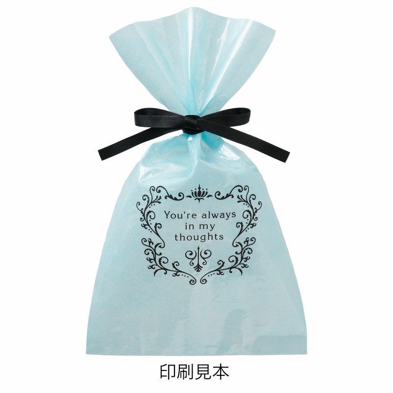 ラッピング｜【リピーター専用】ソフトバッグクリアS4 2穴リボン巾着 名入れ有　100枚入