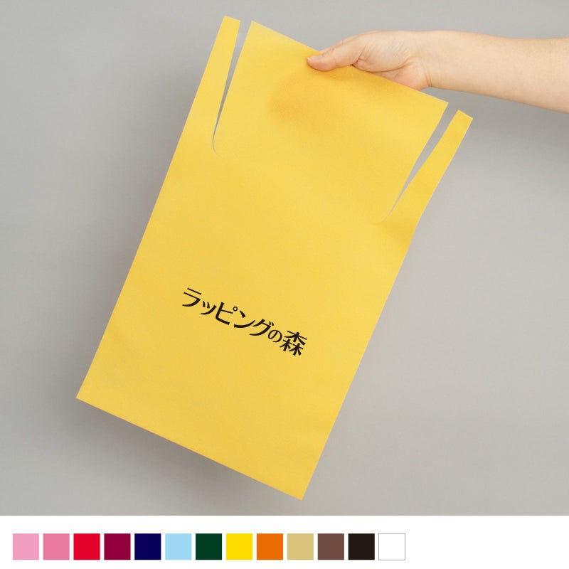 ラッピング｜ソフトバッグベーシックS5　タイリボン 名入れ有　100枚入