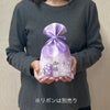 ソフトバッグFP　S3サイズ　2024年春柄　20枚入｜ラッピング資材の仕入れならラッピングの森
