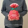 ソフトバッグFP　S4サイズ　2024年春柄　20枚入｜ラッピング資材の仕入れならラッピングの森