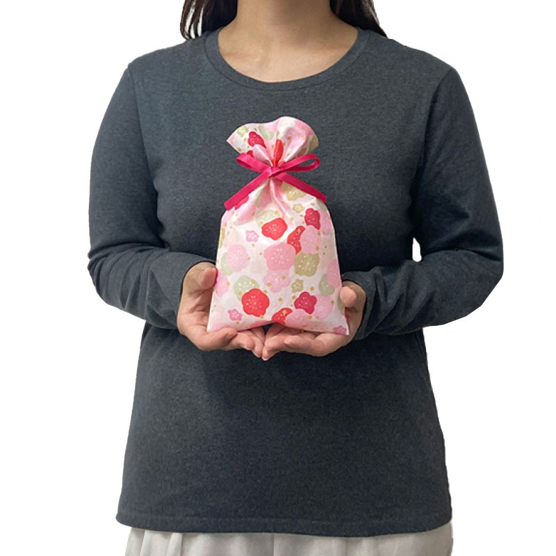 ラッピング｜ソフトバッグFP S3サイズ 2024年冬柄　20枚入