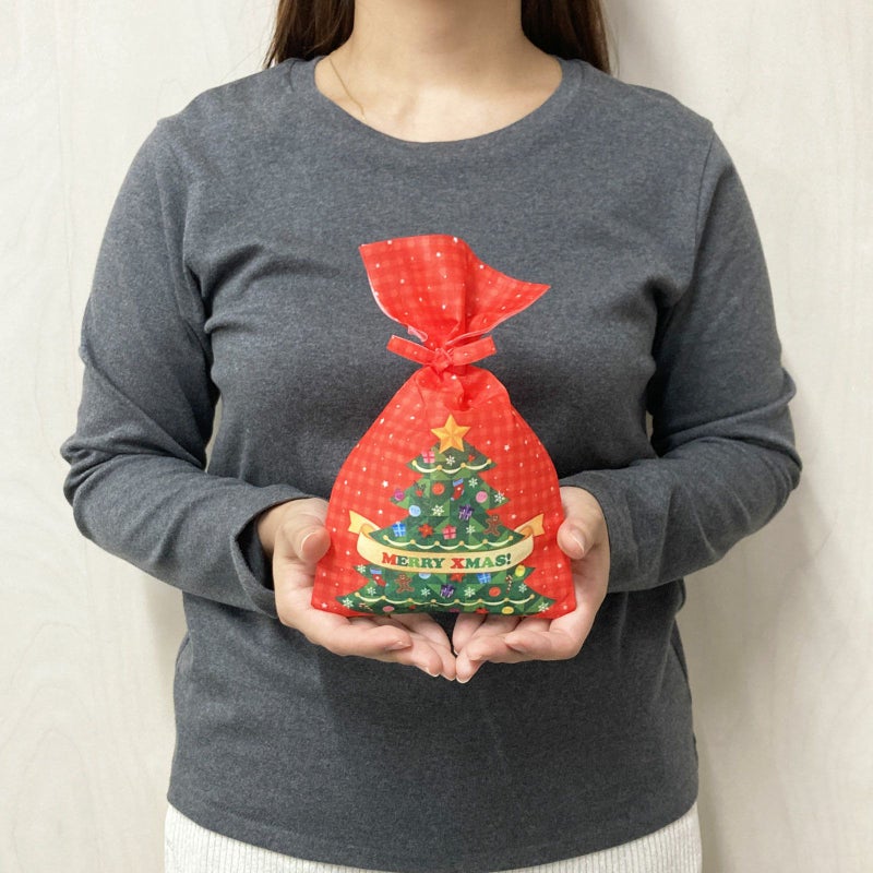 ラッピング｜タイリボンFP　S3サイズ　2026年冬柄　20枚入