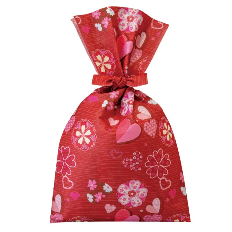 ラッピング｜タイリボンFP　S4サイズ　2025年冬柄　20枚入