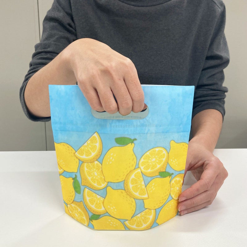 夏ラッピング｜小判抜きバッグミニFP　2024年夏柄　20枚入