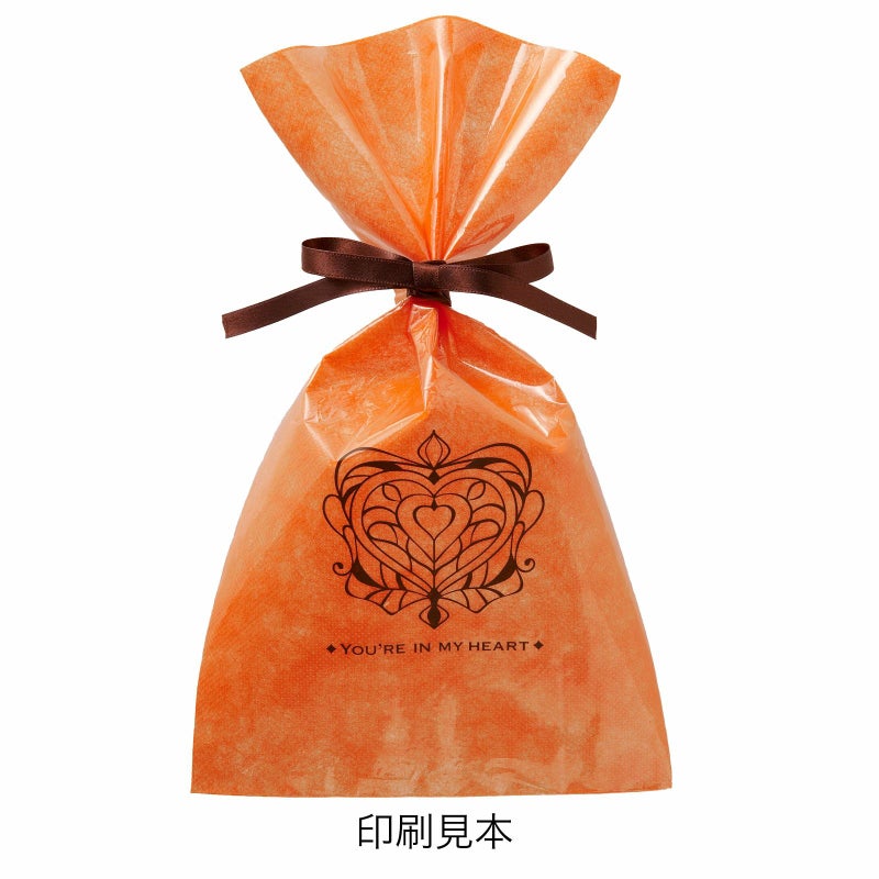 ラッピング｜【1000枚以上専用】ソフトバッグクリアS4 2穴リボン巾着 名入れ有 100枚入