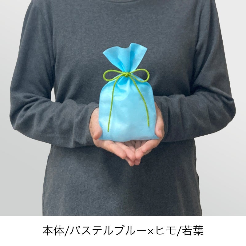 ラッピング｜【小ロット】ソフトバッグベーシックS2　江戸打紐　10枚
