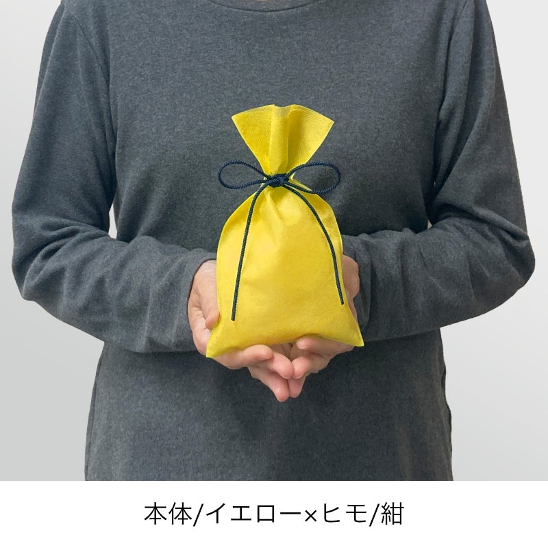 ラッピング｜【小ロット】ソフトバッグベーシックS2　江戸打紐　10枚