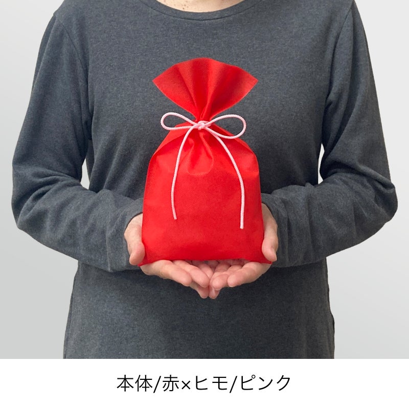 ラッピング｜【小ロット】ソフトバッグベーシックS3　江戸打紐　10枚入