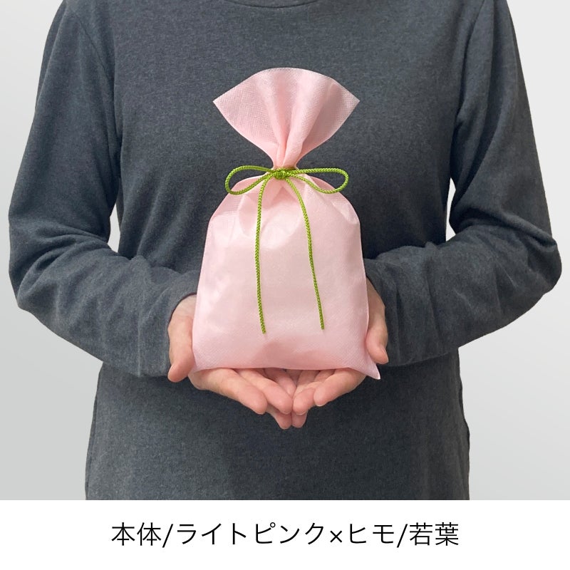 ラッピング｜【小ロット】ソフトバッグベーシックS3　江戸打紐　10枚入