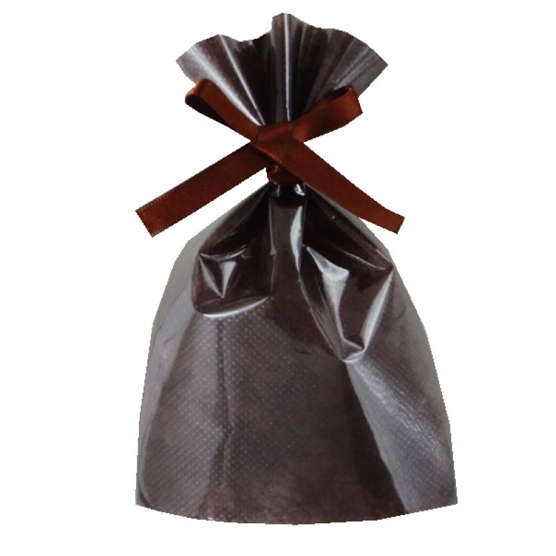 ラッピング｜【小ロット】ソフトバッグクリアS1　2穴リボン巾着 10枚入