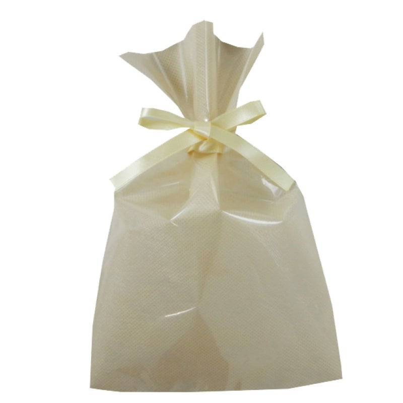 ラッピング｜【小ロット】ソフトバッグクリアS3　2穴リボン巾着　10枚入