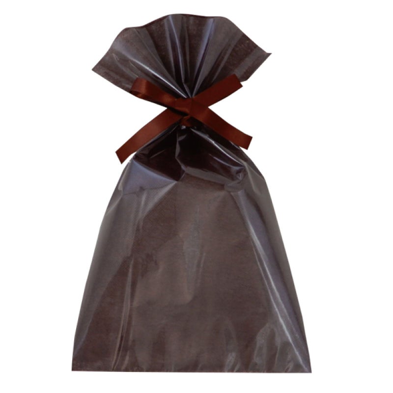 ラッピング｜【小ロット】ソフトバッグクリアS5　2穴リボン巾着 10枚入