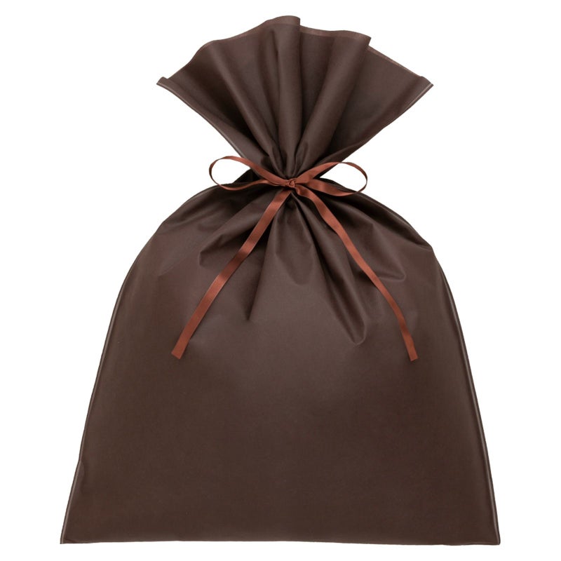 ラッピング｜ソフトバッグベーシックS9厚　2穴リボン巾着　50枚入