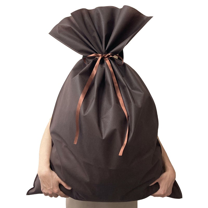 ラッピング｜ソフトバッグベーシックS9厚　2穴リボン巾着　50枚入