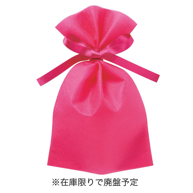 ラッピング｜ソフトバッグベーシックS2　2穴リボン巾着 10枚入