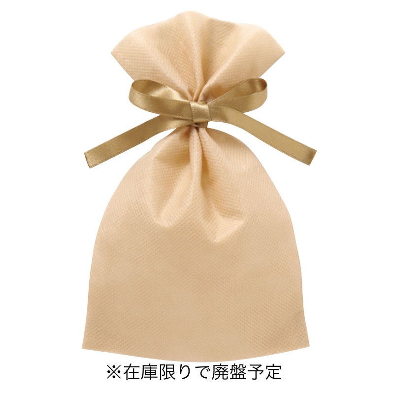 ラッピング｜ソフトバッグベーシックS2　2穴リボン巾着 10枚入