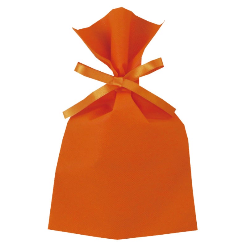 ラッピング｜ソフトバッグベーシックS3　2穴リボン巾着 10枚入