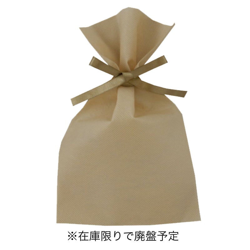 ラッピング｜ソフトバッグベーシックS3　2穴リボン巾着 10枚入