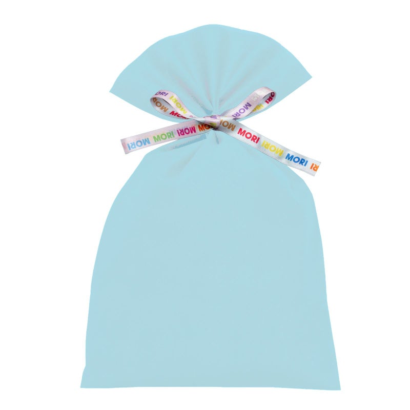 ラッピング｜【リボン名入れ】ソフトバッグ2穴リボン（S5）｜薄手｜不織布包装袋｜100枚入