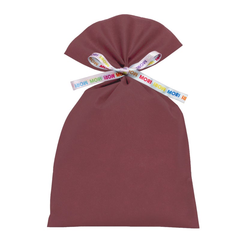 ラッピング｜【リボン名入れ】ソフトバッグ2穴リボン（S5）｜薄手｜不織布包装袋｜100枚入