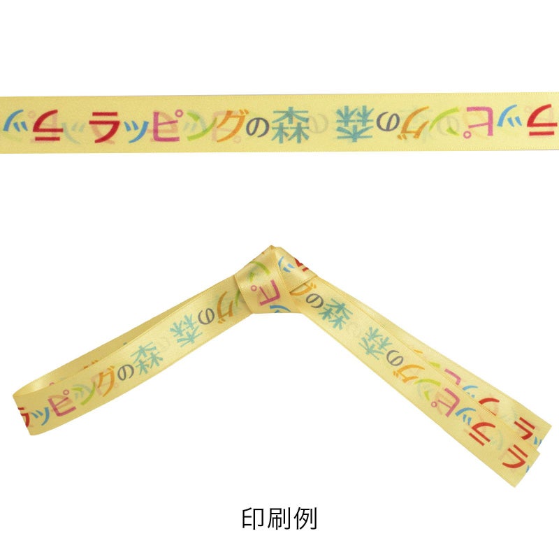 ラッピング｜【リボン名入れ】ソフトバッグ2穴リボン（S6）｜薄手｜不織布包装袋｜100枚入