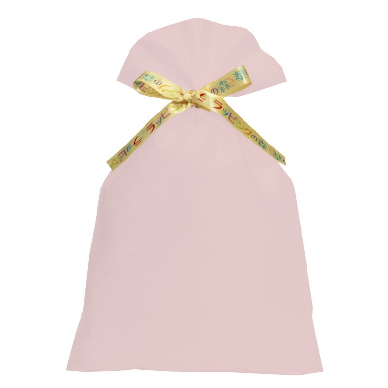 ラッピング｜【リボン名入れ】ソフトバッグ2穴リボン（S6）｜薄手｜不織布包装袋｜100枚入