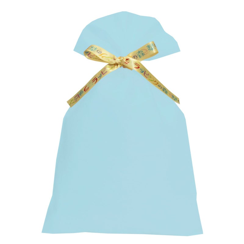 ラッピング｜【リボン名入れ】ソフトバッグ2穴リボン（S6）｜薄手｜不織布包装袋｜100枚入