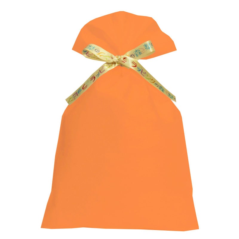 ラッピング｜【リボン名入れ】ソフトバッグ2穴リボン（S6）｜薄手｜不織布包装袋｜100枚入