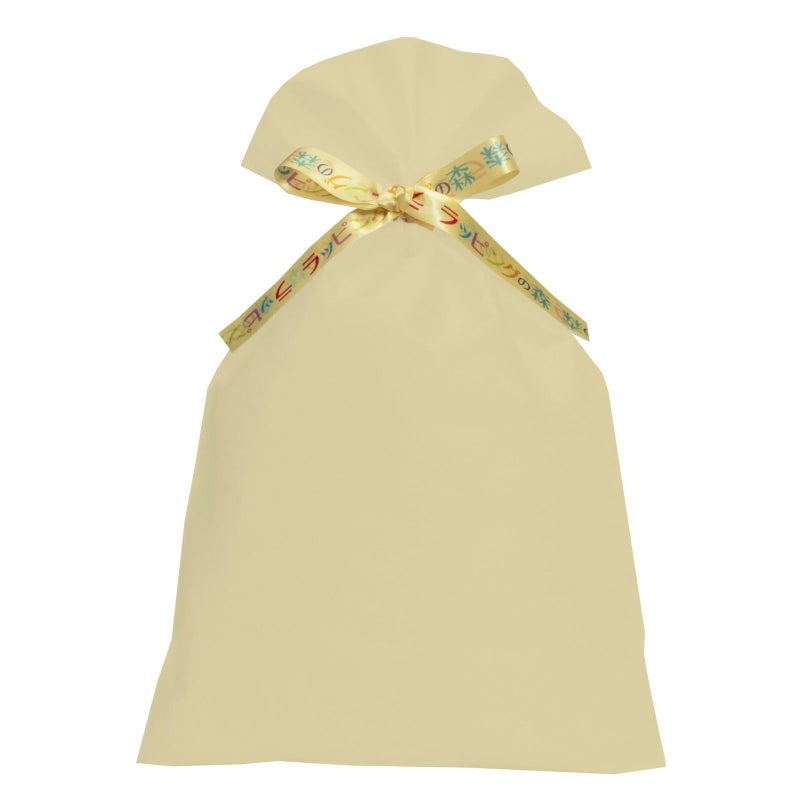 ラッピング｜【リボン名入れ】ソフトバッグ2穴リボン（S6）｜薄手｜不織布包装袋｜100枚入