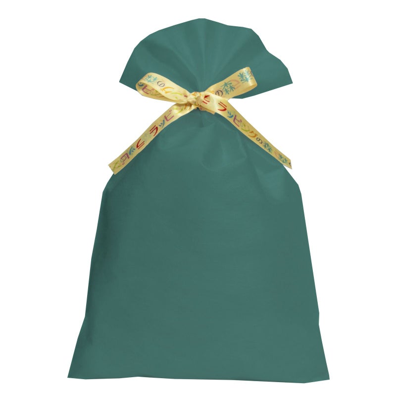 ラッピング｜【リボン名入れ】ソフトバッグ2穴リボン（S6）｜薄手｜不織布包装袋｜100枚入